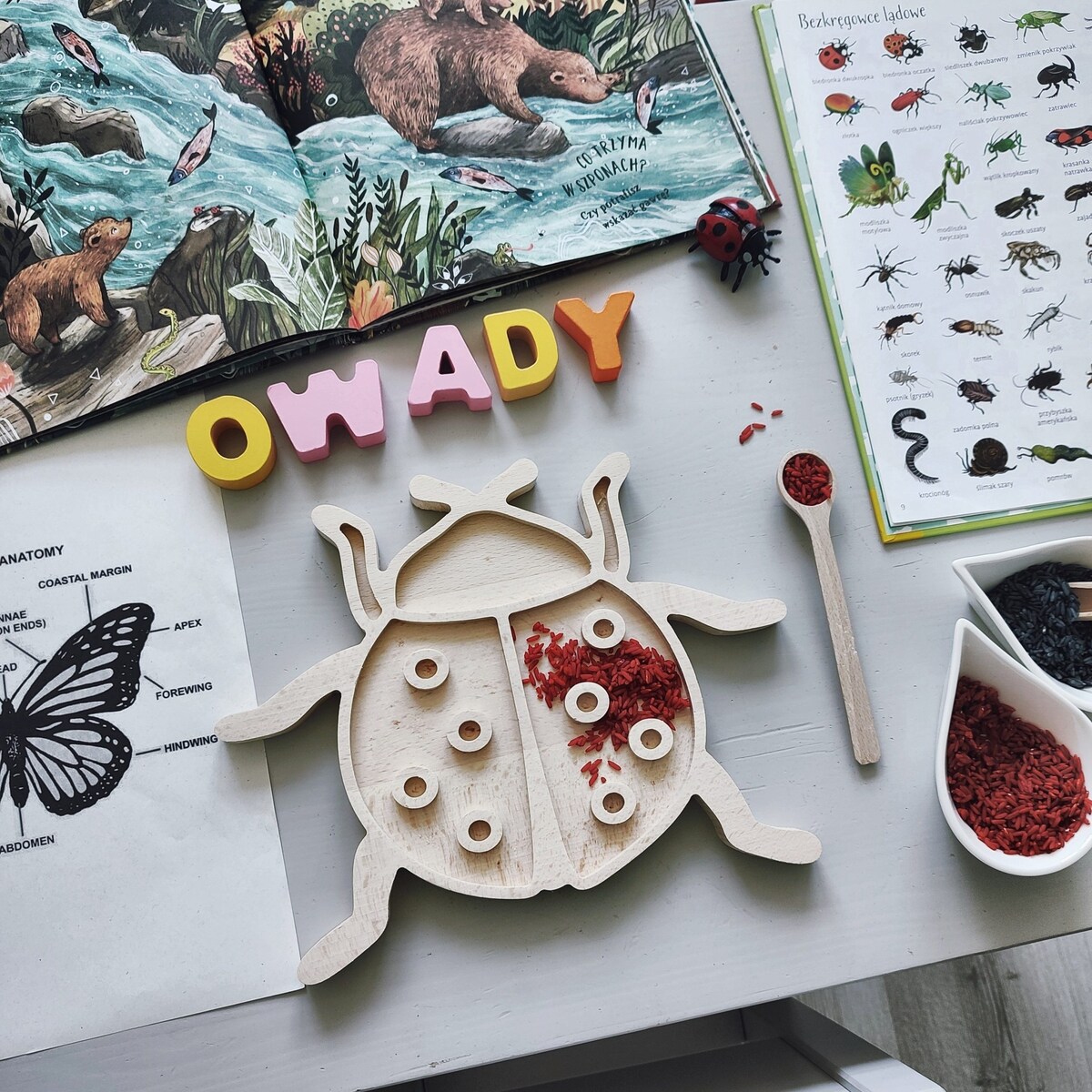 Drewniana wysypywanka sensoryczna Biedronka