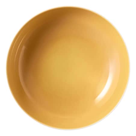 SELTMANN MEADOW GRASSES CURRY Zestaw 2 misek 25 cm