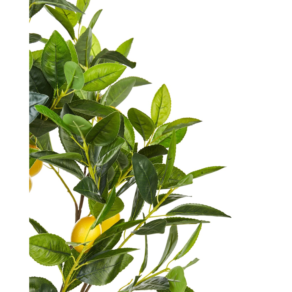Sztuczna roślina doniczkowa 105 cm LEMON TREE
