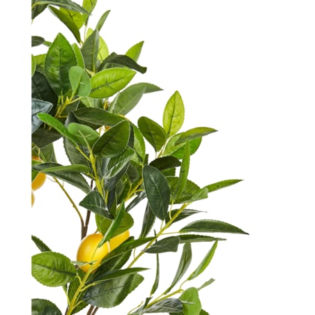 Sztuczna roślina doniczkowa 105 cm LEMON TREE