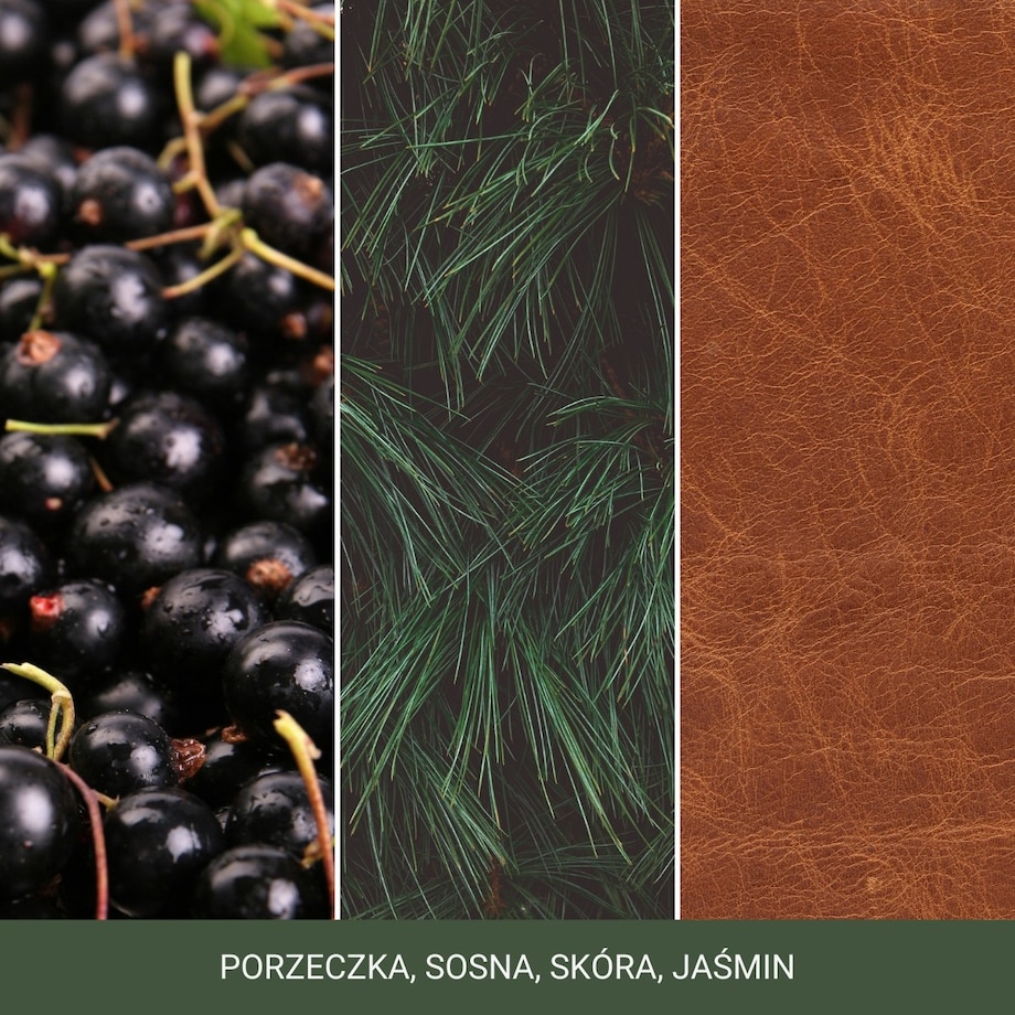 Yankee świeca mini SILVER SAGE & PINE