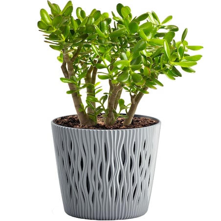 Doniczka Z Wkładem Osłonka Sandy Round 15,8 Cm