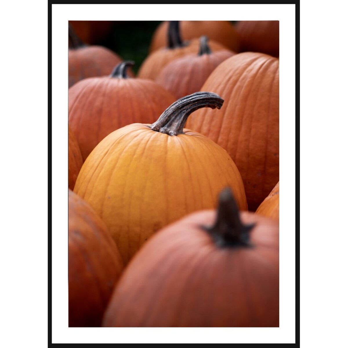 Poster Story, Plakat, Obraz - Dynie w Zbliżeniu, wymiary 21 x 30 cm