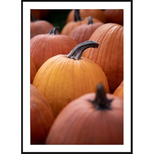 Poster Story, Plakat, Obraz - Dynie w Zbliżeniu, wymiary 21 x 30 cm