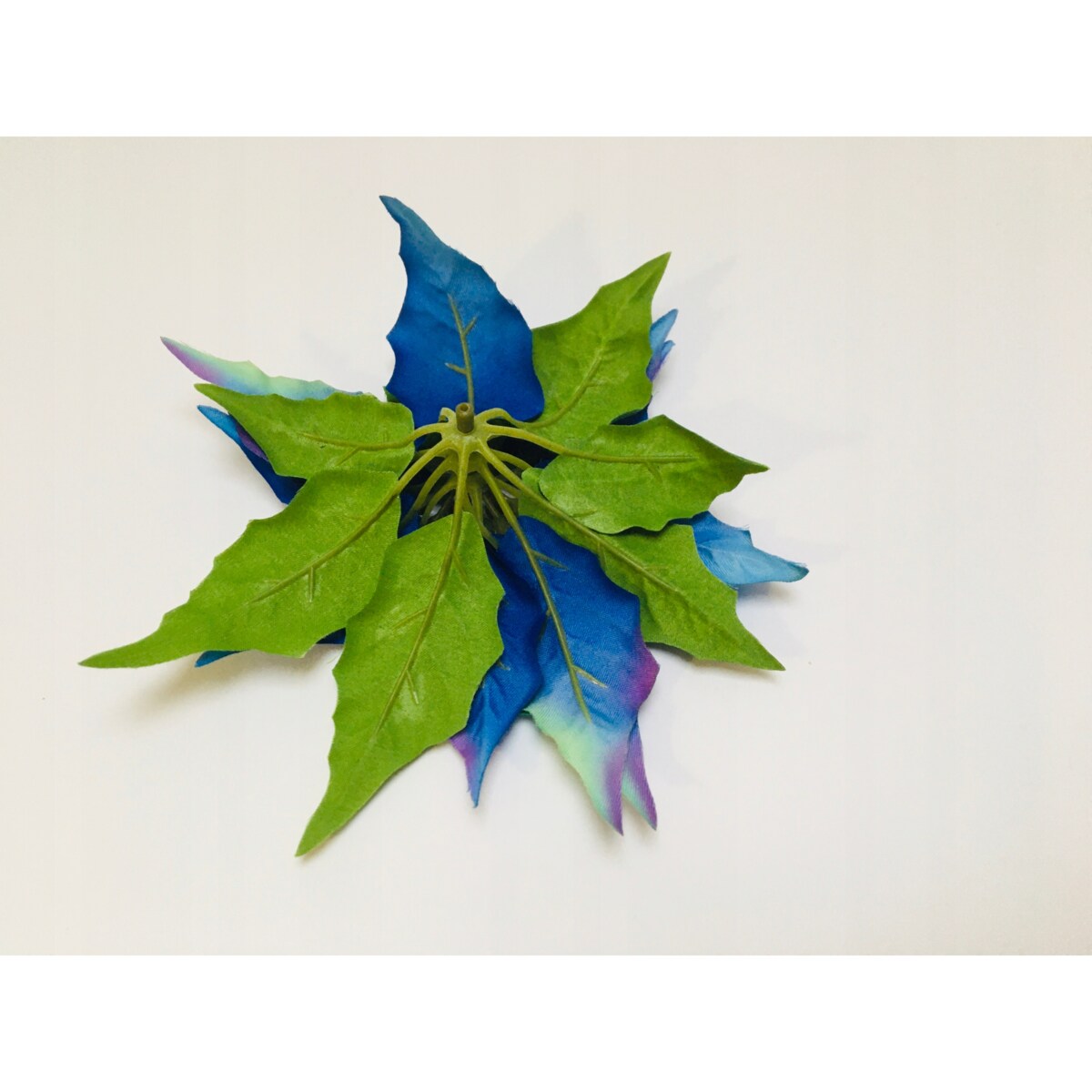 GWIAZDA KWIAT poinsecja BETLEJEMSKA niebieska na bukiet wianek dekoracja