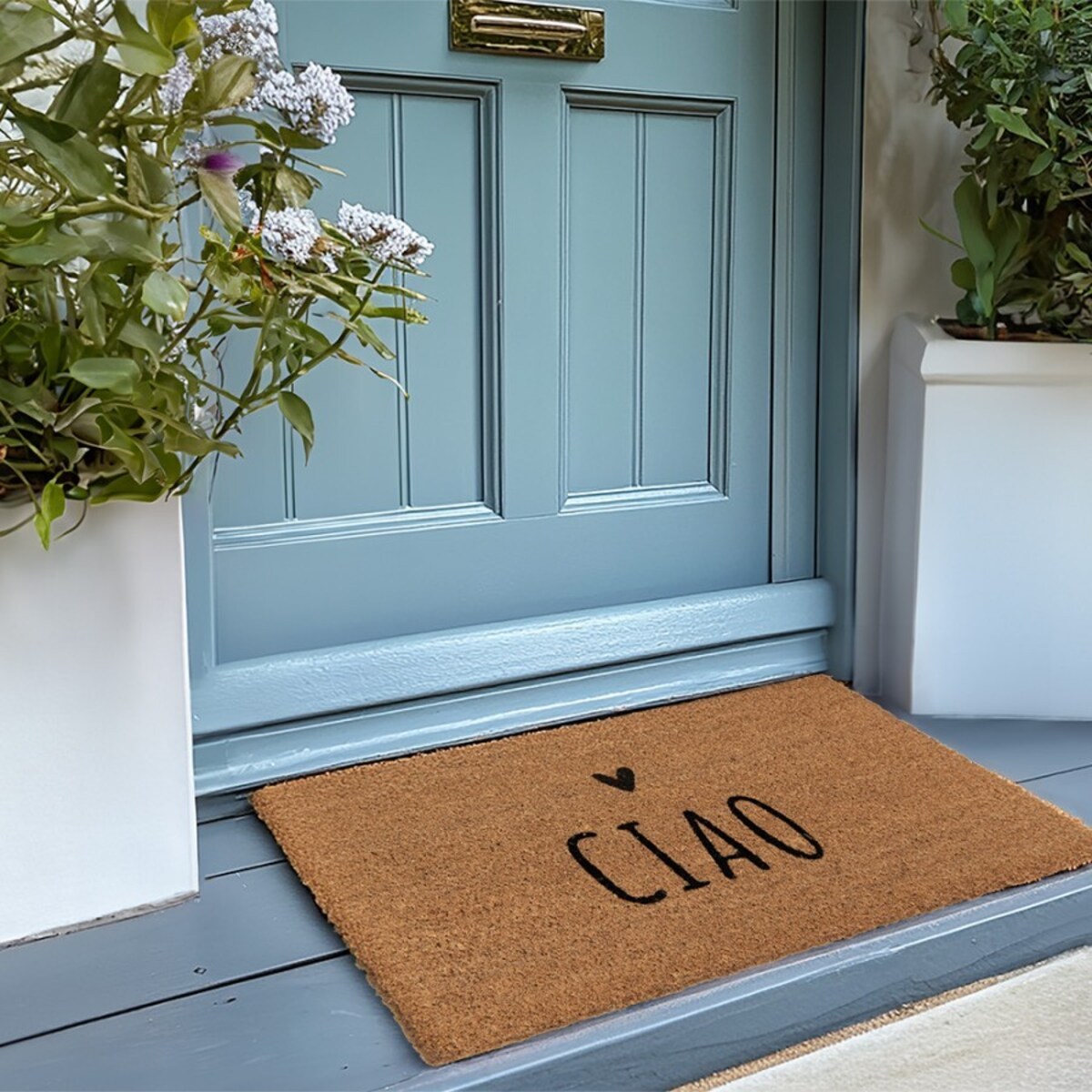 Wycieraczka wejściowa kokos CIAO 60x40 cm