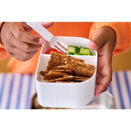 Lunch box stalowy Campus Frozen Friends 107490065416