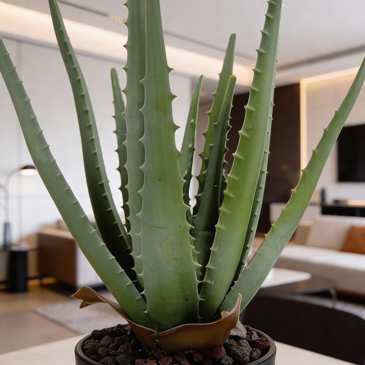 Roślina Sztuczna Aloes W Doniczce 45 Cm Wysokości Zielona Jak Żywa Ozdoba