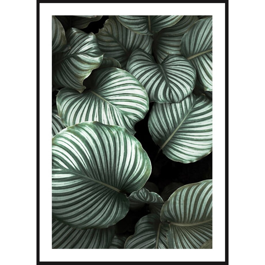 Poster Story, Plakat, Obraz - Tropikalne Liście, wymiary 21 x 30 cm