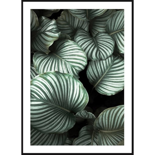 Poster Story, Plakat, Obraz - Tropikalne Liście, wymiary 21 x 30 cm