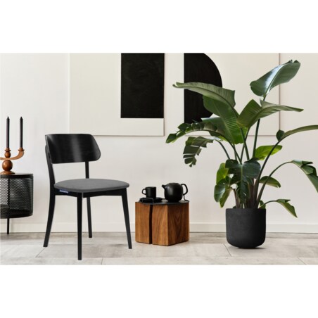 KONSIMO VINIS nowoczesne krzesła drewniane 2 sztuki w kolorze szarym