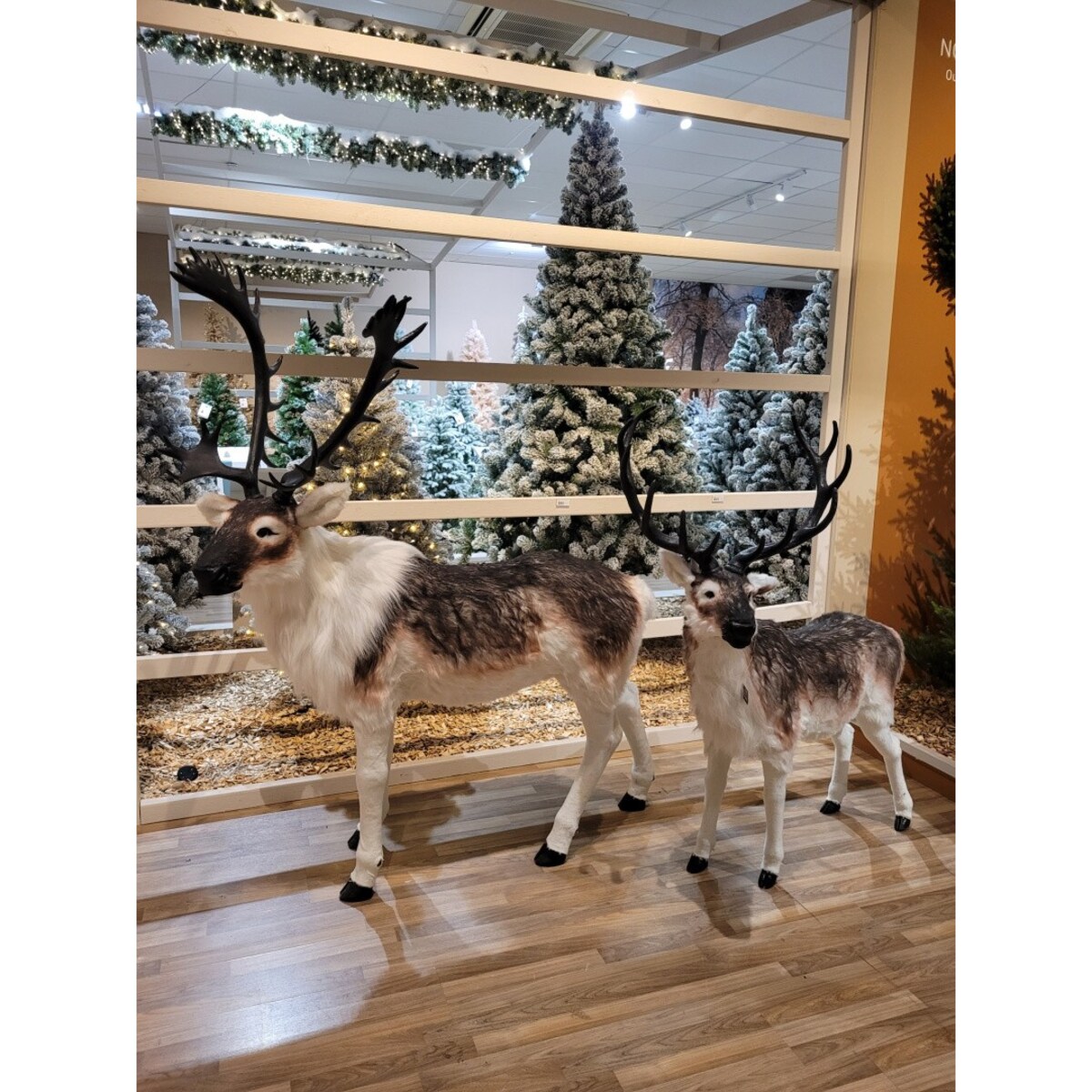 Figurka MAXI Renifer jak żywy 180 cm