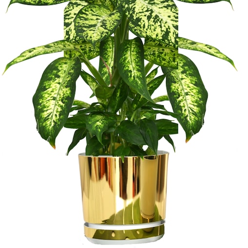 14 cm wzór ZŁOTO - BIAŁA Doniczka z podstawką nowoczesna elegancka glamour wysoki połysk