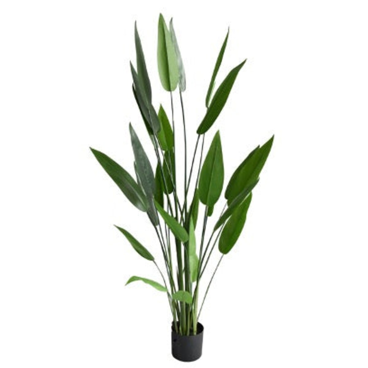 KWIAT DUŻA STRELICJA KRÓLEWSKA 150 cm