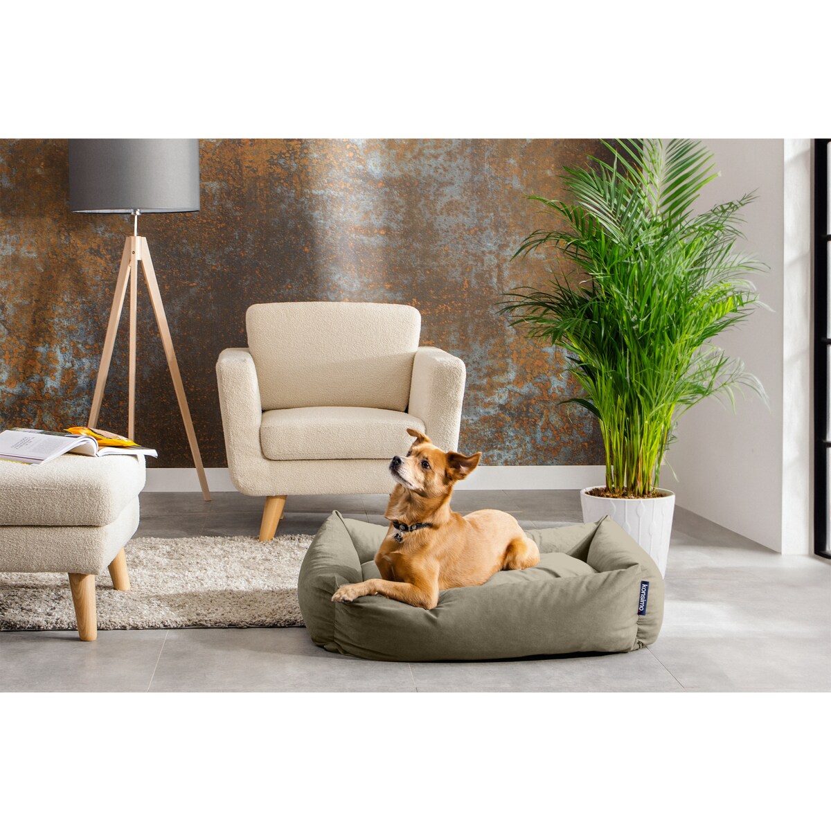KONSIMO CANINI Legowisko dla małej rasy psa, beżowy