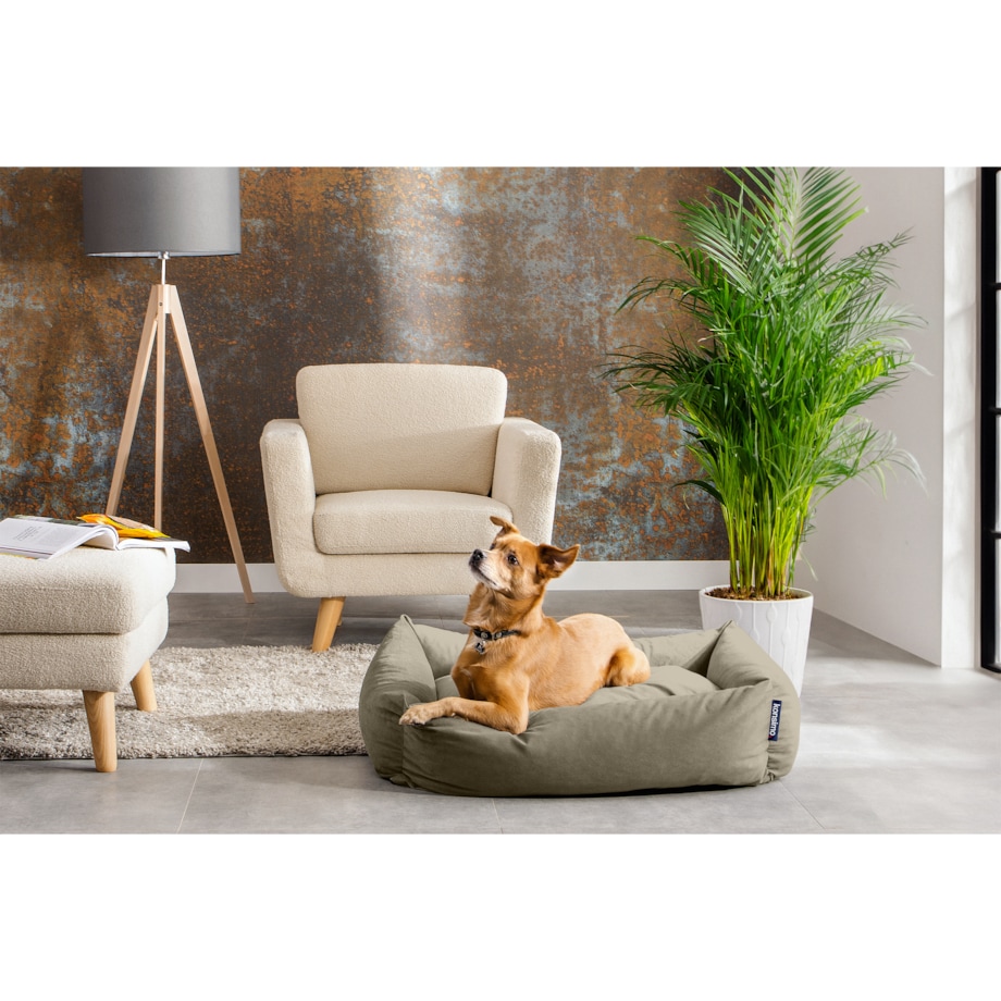 KONSIMO CANINI Legowisko dla małej rasy psa, beżowy