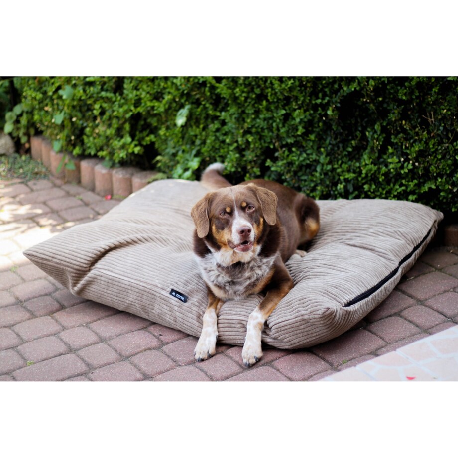Legowisko poduszka dla psa MOLLY, 100x80 cm, Beż