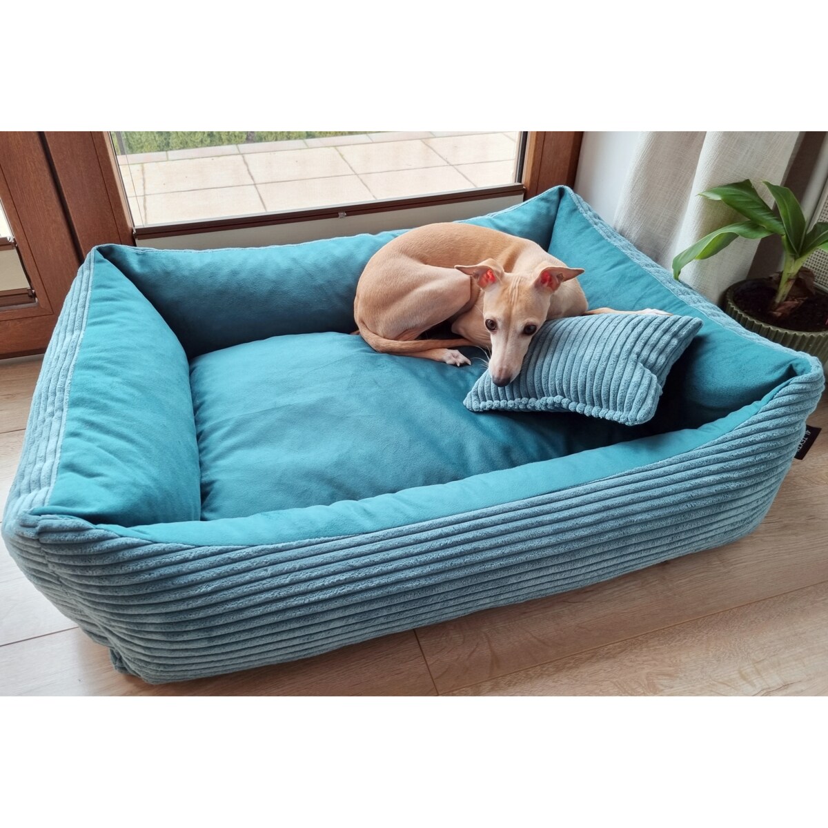 Sztruksowe legowisko dla psa MOLLY, 100x80 cm, Turkus