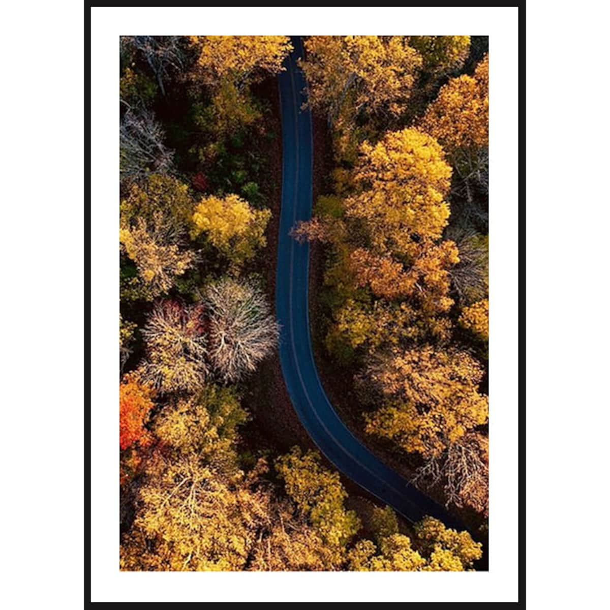 Poster Story, Plakat, Obraz - Las w Barwach Jesieni, wymiary 21 x 30 cm