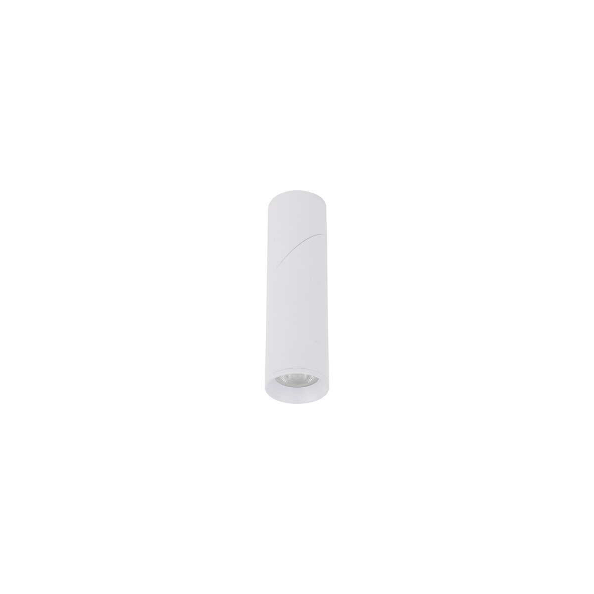 Lampa reflektorowa spot ELARIS WHITE S 11252 TK Lighting
