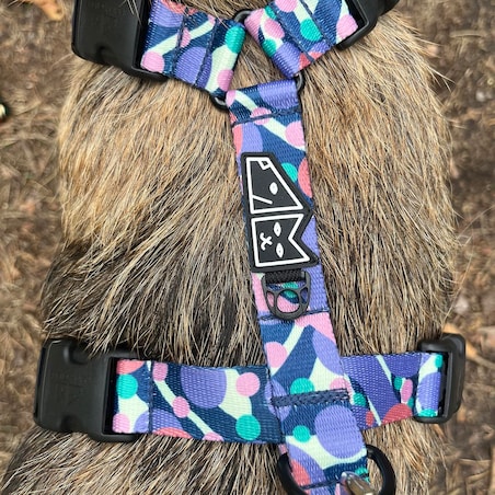 Szelki guard Stay on "Pies z głową w dół" - Szerokość taśmy: 25mm, Rozmiar: L