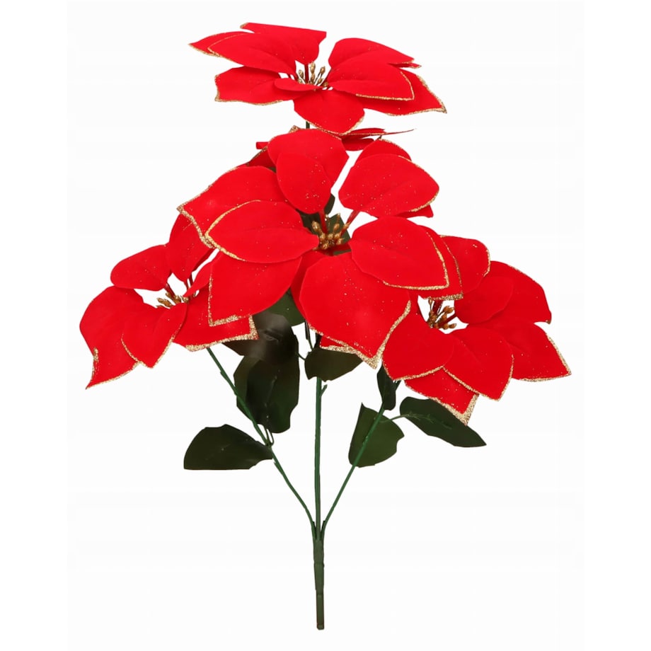GWIAZDA CZERWONA BUKIET BETLEJEMSKA większa do wazonu stroika święta kwiaty
