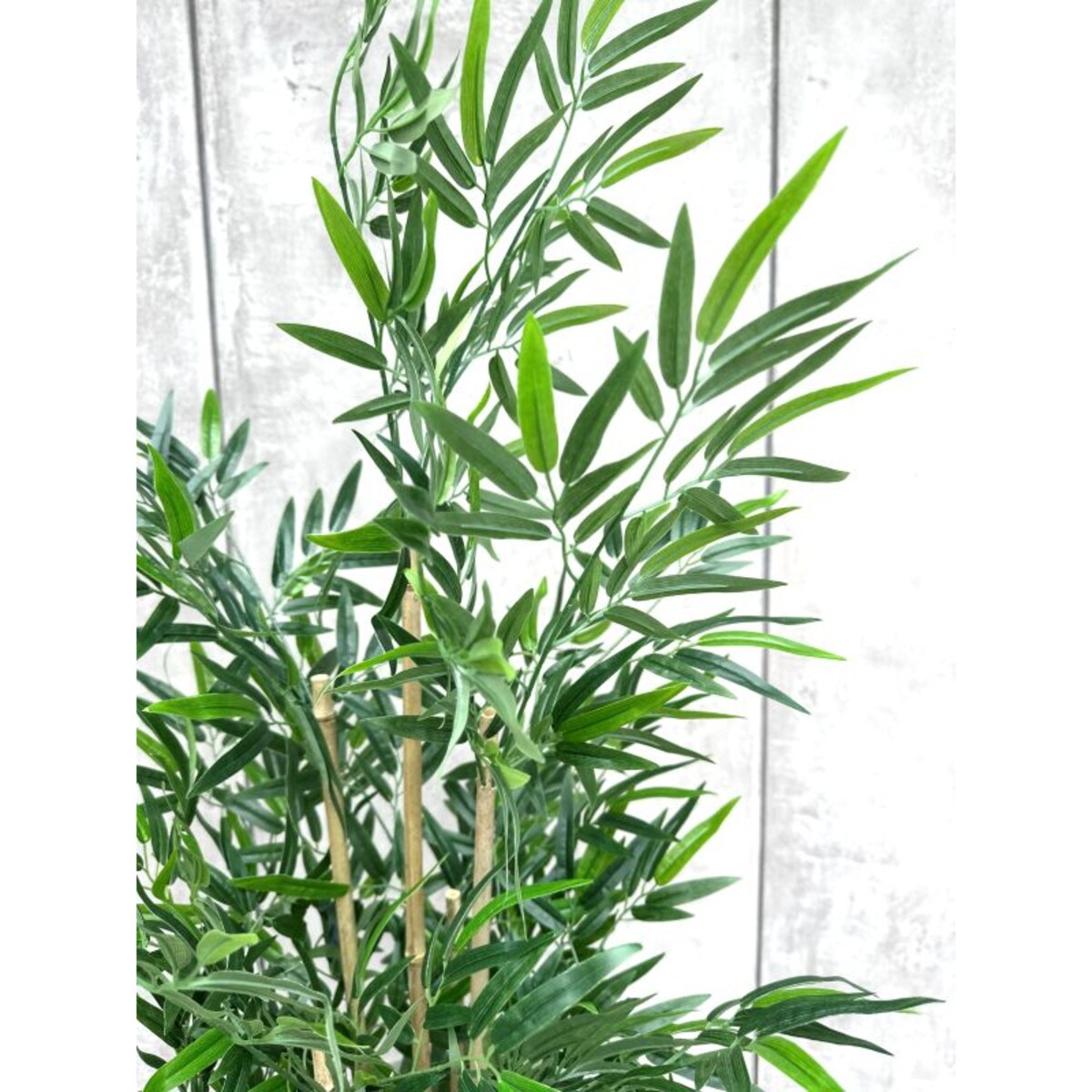 DRZEWKO BAMBUSOWE 150 cm