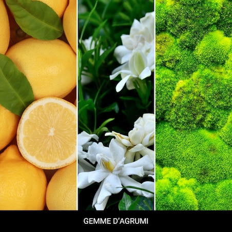 MM - Zawieszka zapachowa 3-pack GEMME D'AGRUMI