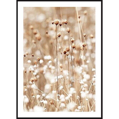 Poster Story, Plakat, Obraz - Naturalna Polna Trawa, wymiary 50 x 70 cm