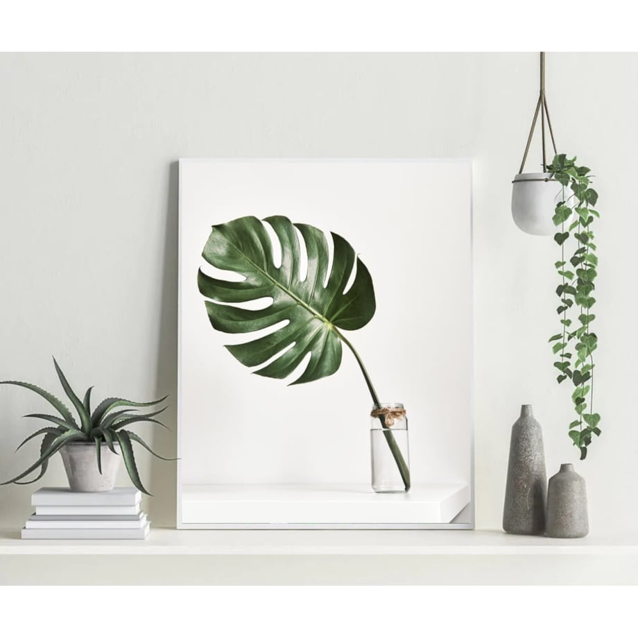 Poster Story, Plakat, Obraz - Monstera w Szklanym Wazonie, wymiary 42 x 60 cm
