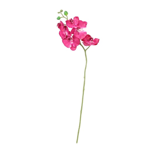 Gałązka Orchid 65cm pink, 65 cm
