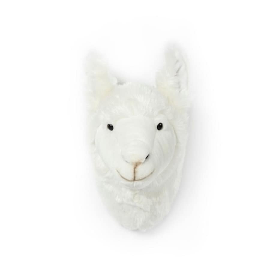 Trofeum na ścianę Lama, Wild&Soft