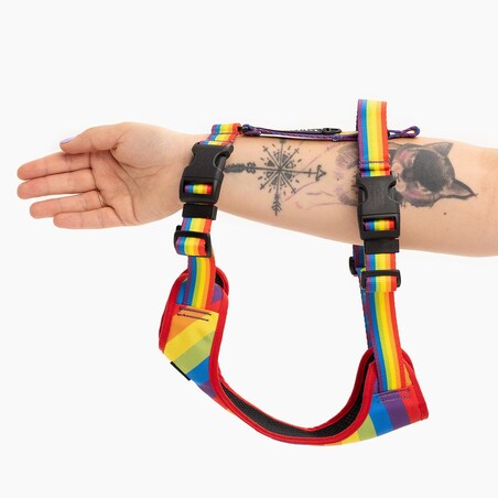 Szelki bezuciskowe Stay on "Miłość, równość, gryzaki" - Szerokość taśmy: 38mm, Rozmiar: L