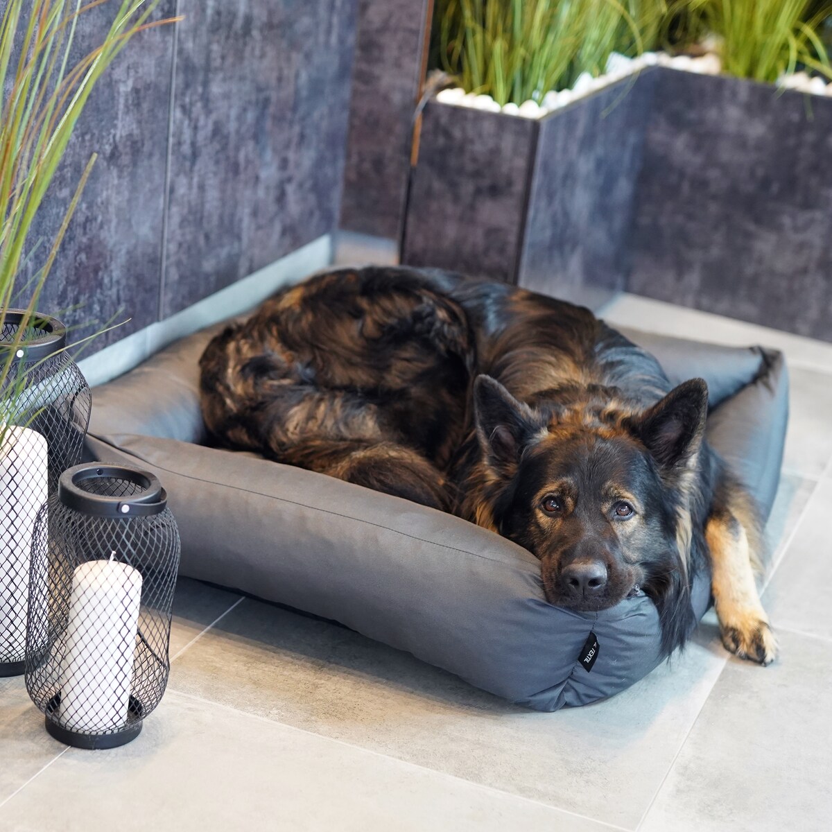 Wodoodporne legowisko dla psa KOKO, 80x60 cm, Grafit