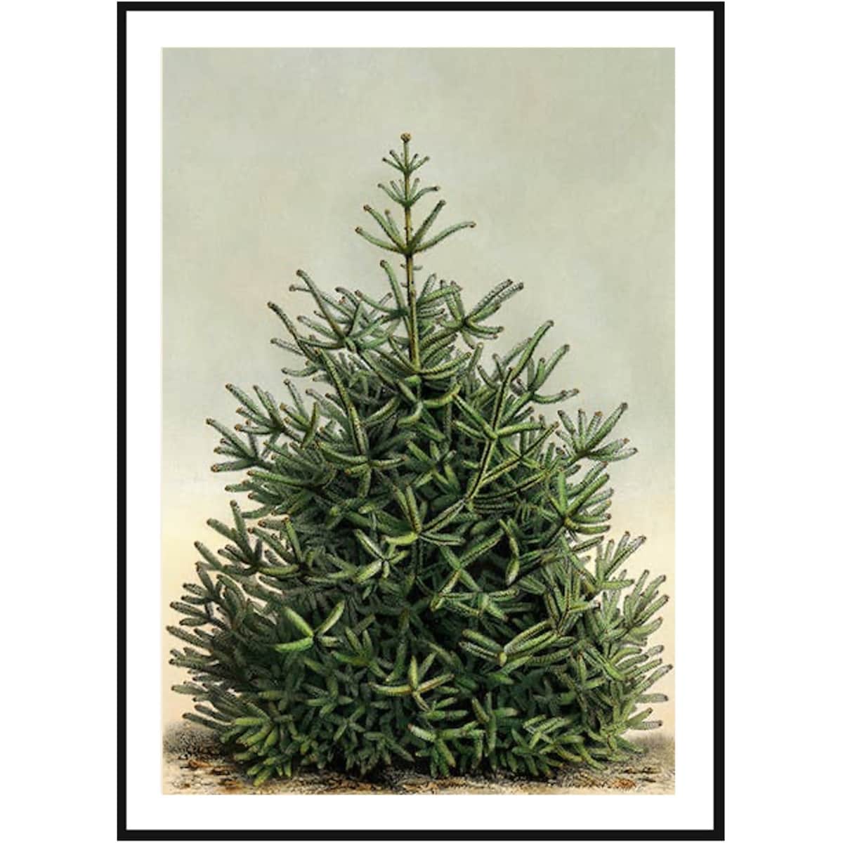 Poster Story, Plakat, Obraz - Gęsta Żywa Choinka, wymiary 30 x 42 cm