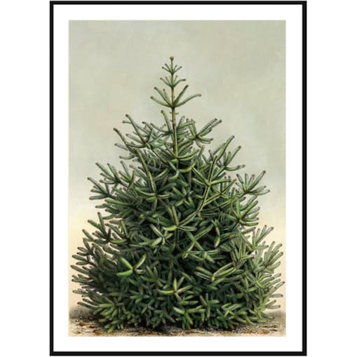 Poster Story, Plakat, Obraz - Gęsta Żywa Choinka, wymiary 30 x 42 cm
