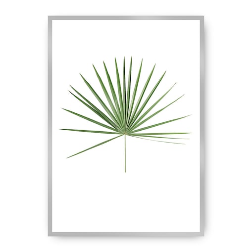 Plakat Tropical Leaf Green, 30 x 40 cm, Ramka: Srebrna