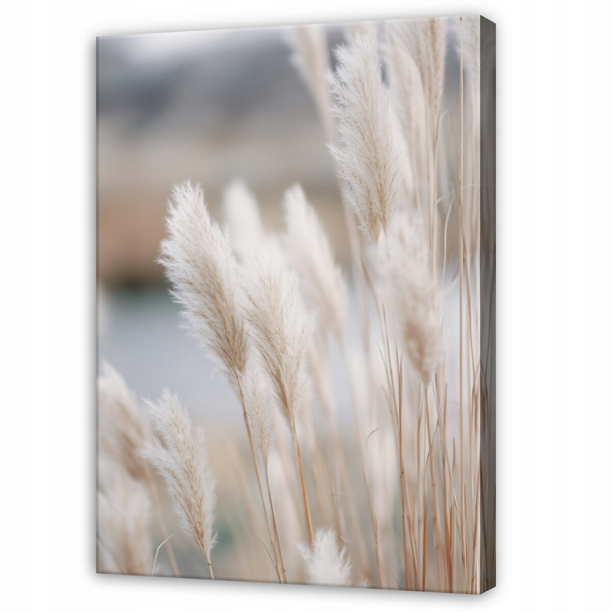 Obraz Do Sypialni Salonu Na Płótnie Trawa pampasowa Pejzaż Beżowy 70x100