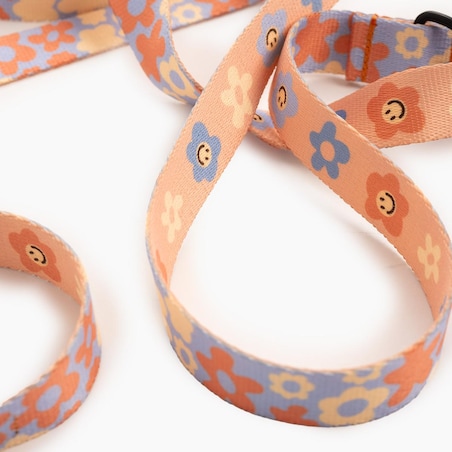 Smycz miejska dla psa lub kota "Oopsy Daisy" - Szerokość taśmy: 25mm, Rozmiar: S oraz Rodzaj: Mały karabinek