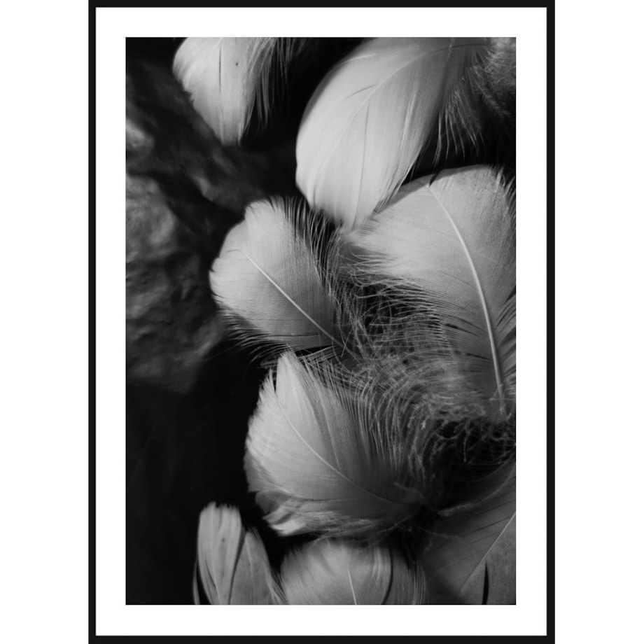 Poster Story, Plakat, Obraz - Nostalgiczne Piórka, wymiary 30 x 42 cm