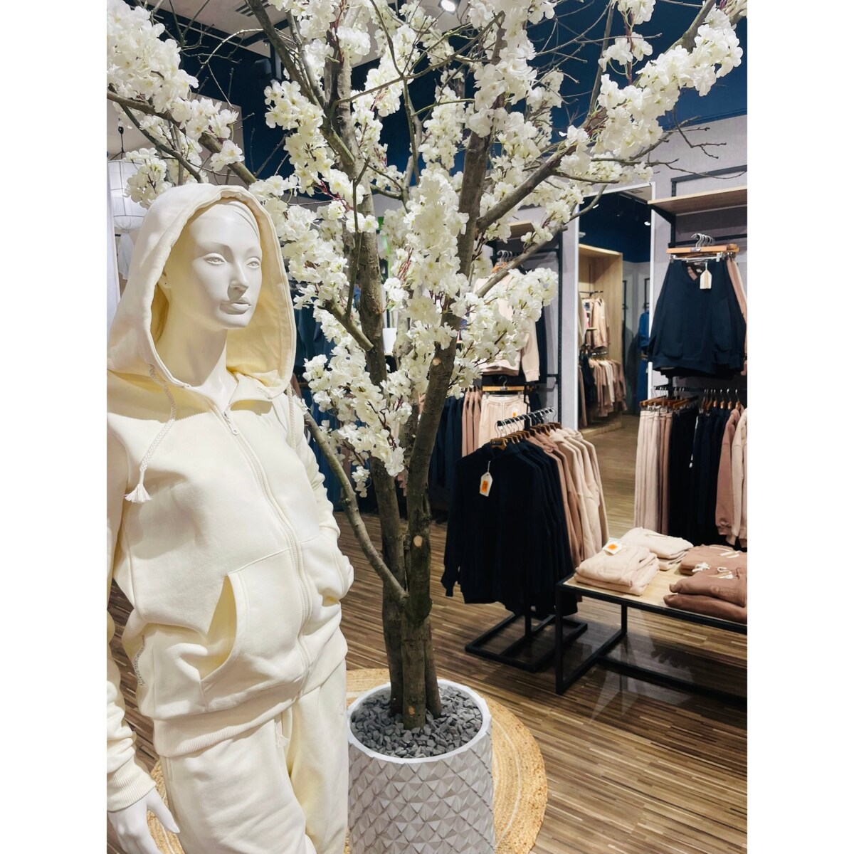 Drzewo kwitnącej jabłoni białej na naturalnym pniu 280 cm