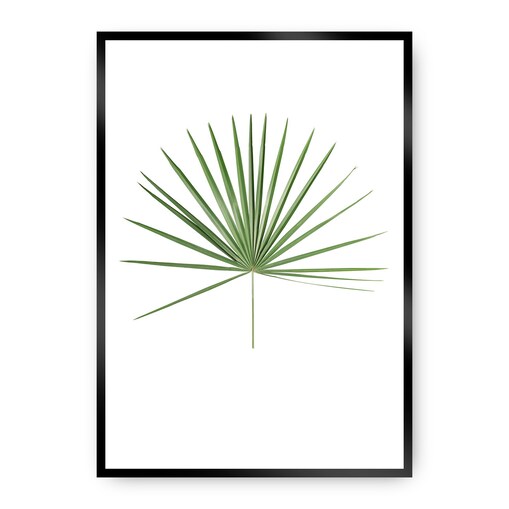 Plakat Tropical Leaf Green, 40 x 50 cm, Ramka: Czarna