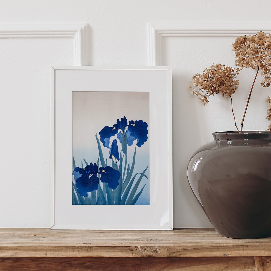 Plakat Niebieskie Irysy 21x30cm