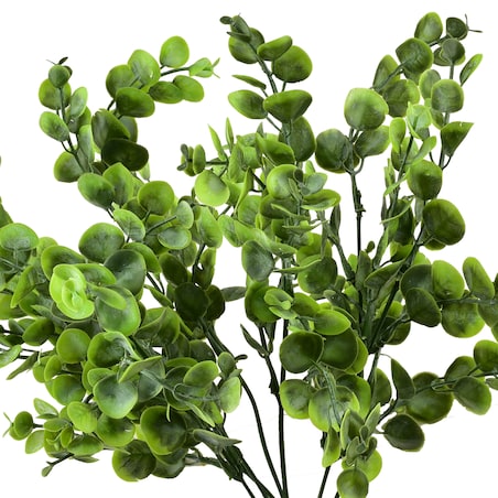 Bukiet Bukszpanu Viridis