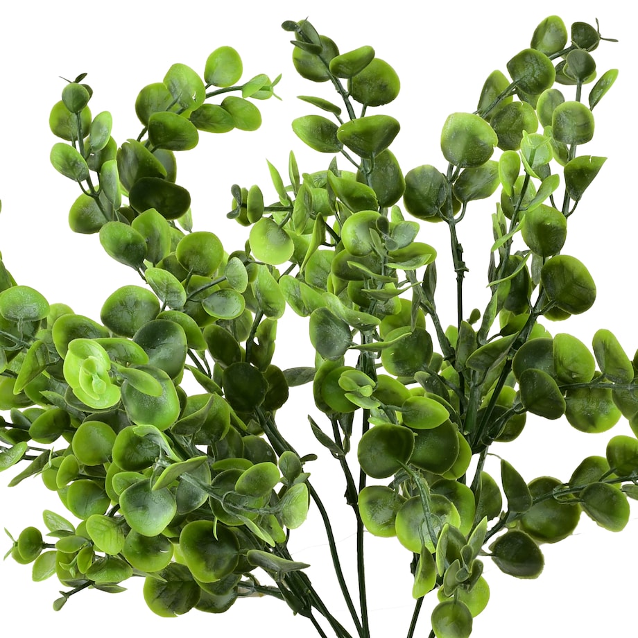 Bukiet Bukszpanu Viridis