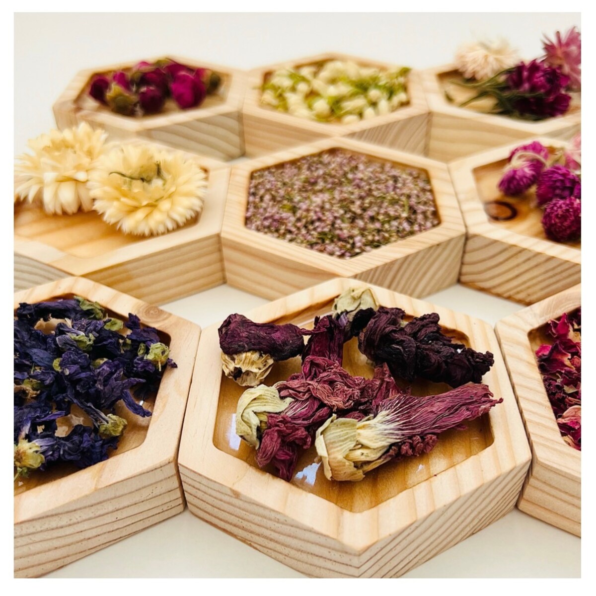 Dyski sensoryczne KWIATOWY OGRÓD