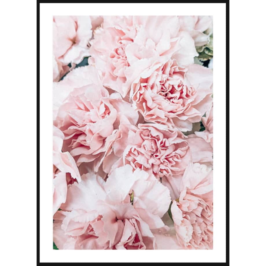 Poster Story, Plakat, Obraz - Pudrowe Piwonie, wymiary 21 x 30 cm