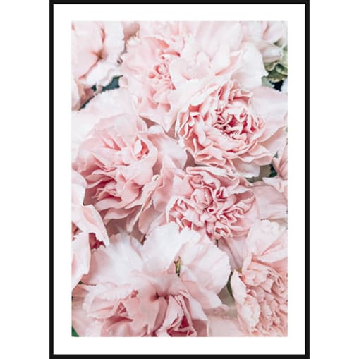 Poster Story, Plakat, Obraz - Pudrowe Piwonie, wymiary 21 x 30 cm