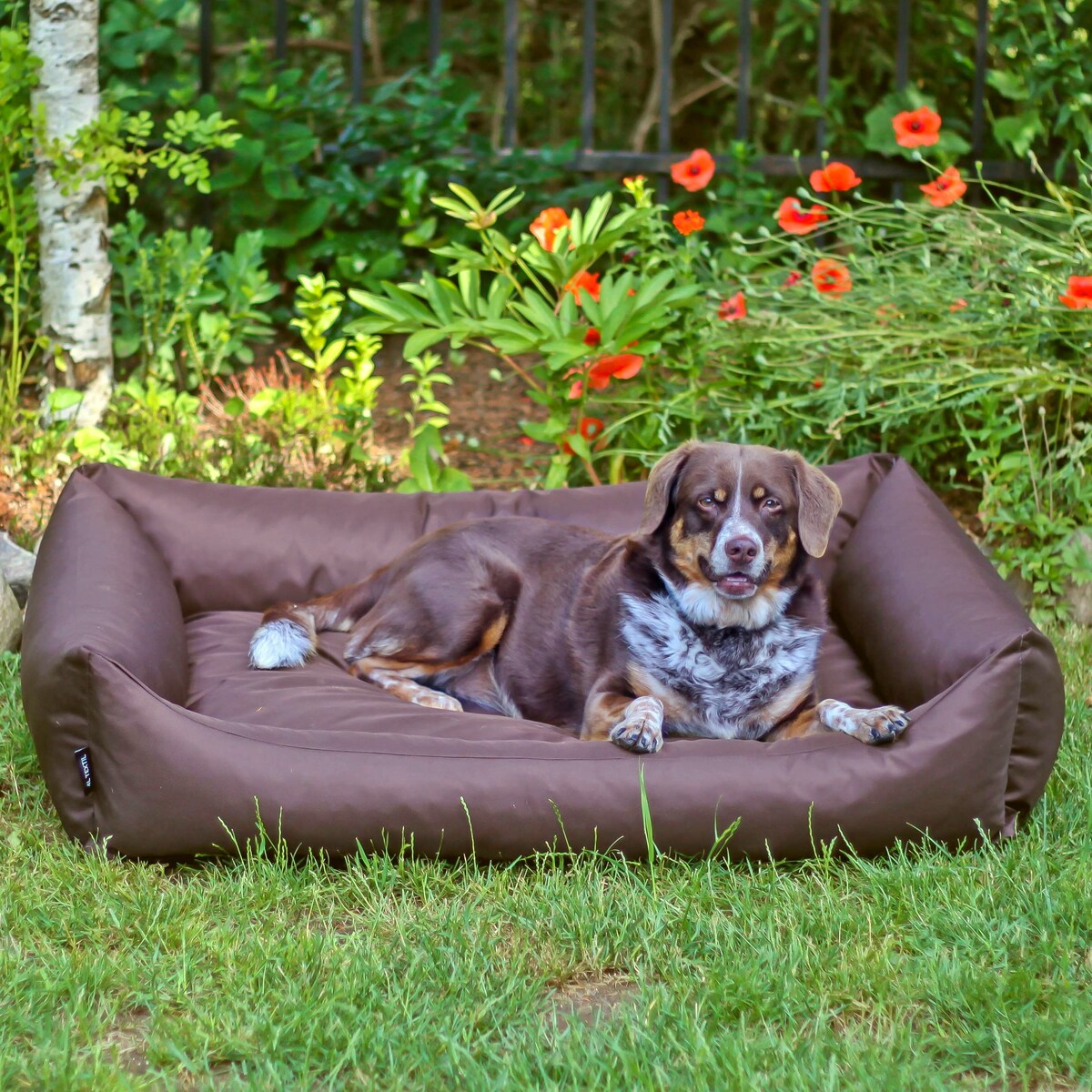 Wodoodporne legowisko dla psa KOKO, 100x80 cm, Brąz