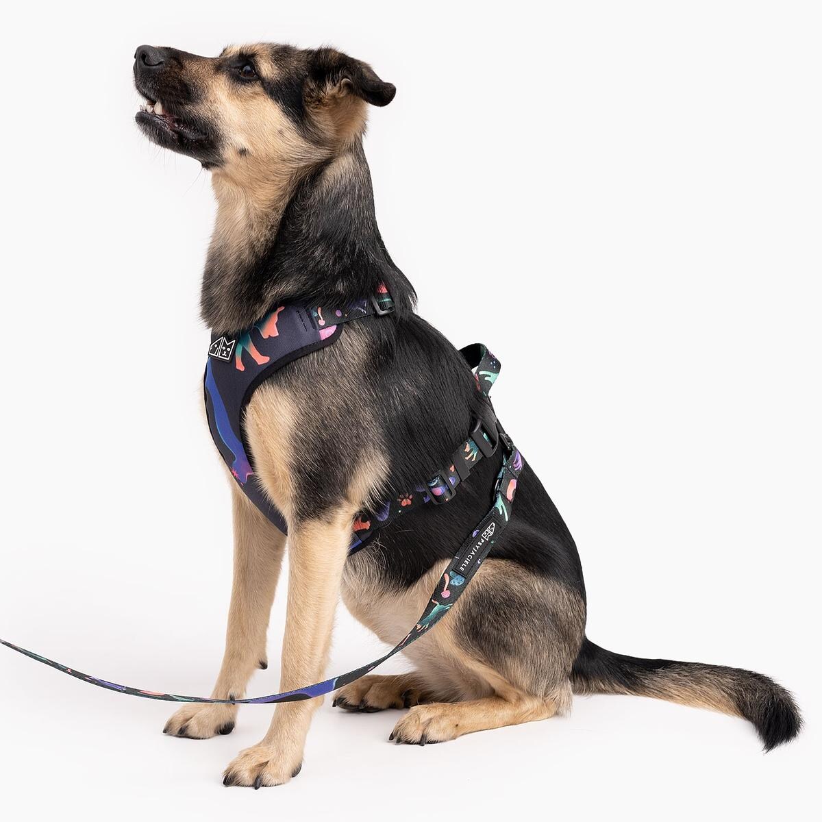 Szelki bezuciskowe dla psa lub kota "Psychodelia" - Szerokość taśmy: 25mm, Rozmiar: XL